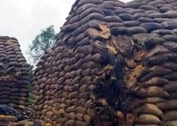 விடியல் அரசின் மெத்தனம் 10,000 டன் நெல் நாசம்… விவசாயிகள் பாதிப்பு! போராளிகள் எங்கே?