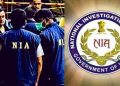 nia team
