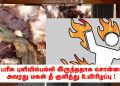 பொங்கல் தொகுப்பு புளியில் பல்லி.. புகார் சொன்னவர் கைது .. மனவருதத்தில் அவரது மகன் தீ குளித்து  தற்கொலை !
