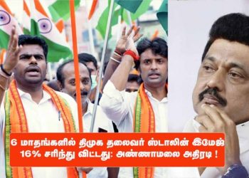 6 மாதங்களில் திமுக தலைவர் ஸ்டாலின் இமேஜ் 16% சரிந்து விட்டது: அண்ணாமலை அதிரடி !