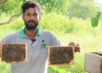 விழுப்புரம் மாவட்ட விவசாயிகளே தவறவிடாதீர்கள் ! தேனீ வளா்ப்பை ஊக்குவிக்க விவசாயிகளுக்கு மானியம்!
