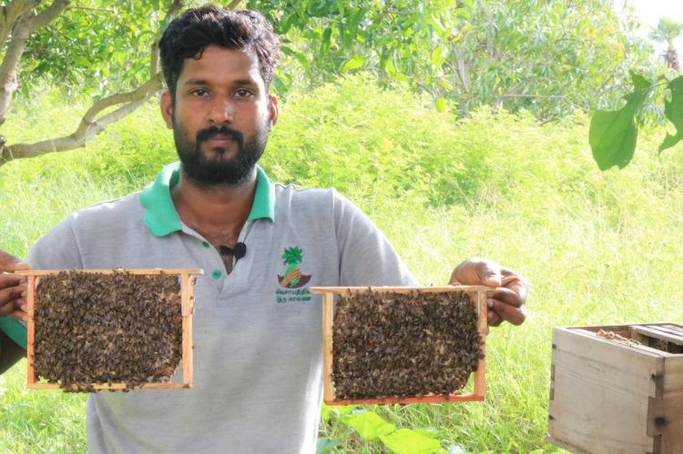 விழுப்புரம் மாவட்ட விவசாயிகளே தவறவிடாதீர்கள் ! தேனீ வளா்ப்பை ஊக்குவிக்க விவசாயிகளுக்கு மானியம்!